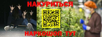 крисы Гагарин