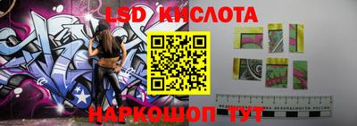 кокс Гатчина