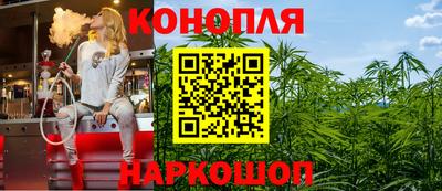кокс Гатчина