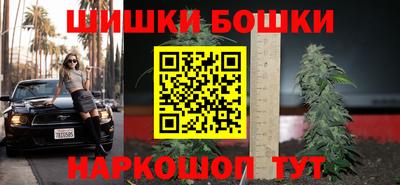 крисы Гагарин