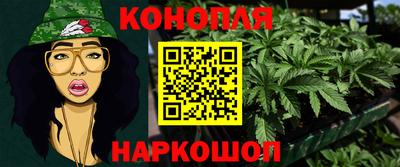 кокс Гатчина