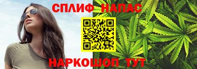 прущие грибы Гусев