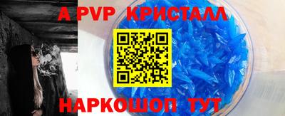 кокс Гатчина