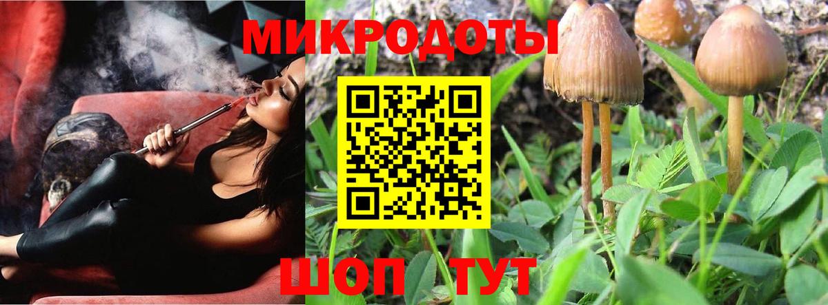 Галлюциногенные грибы прущие грибы Карталы